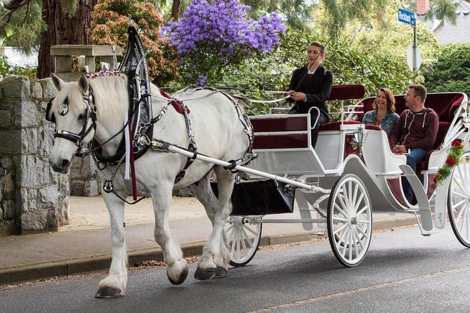 Heritage Horse-Drawn Carriage Experience in Victoria - The route: three stops plus the James Bay vibe