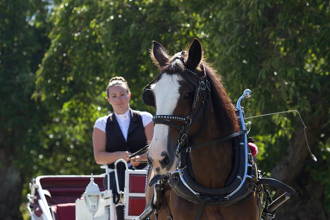 Heritage Horse-Drawn Carriage Experience in Victoria - Who this tour fits best, and who may want to think twice