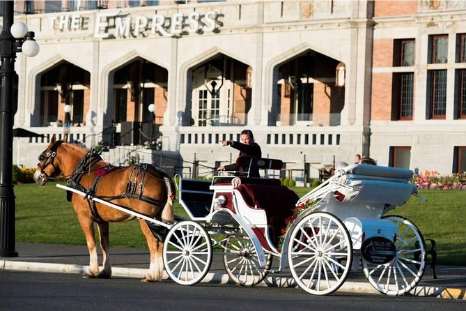 Heritage Horse-Drawn Carriage Experience in Victoria - The guide and the horses: the real reason this ride feels personal