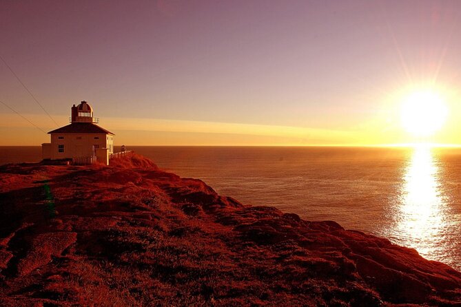 Historic St. John's Newfoundland and Cape Spear Tour - Key things that make this tour work