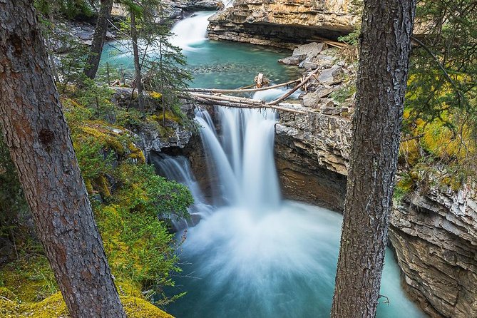 Hop-On and Hop-Off Banff Bus - On-board hosts: what makes this tour feel personal