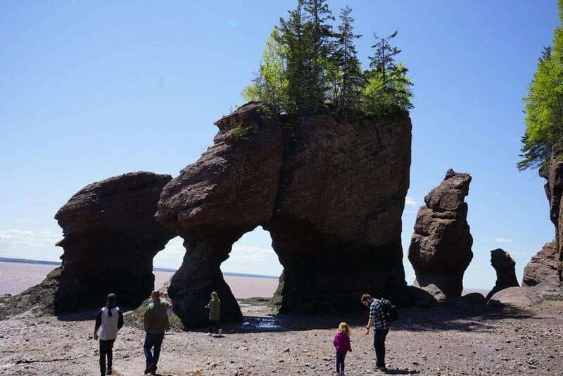 Hopewell Cape: Hopewell Rocks Admission - Key highlights you will feel the moment you arrive