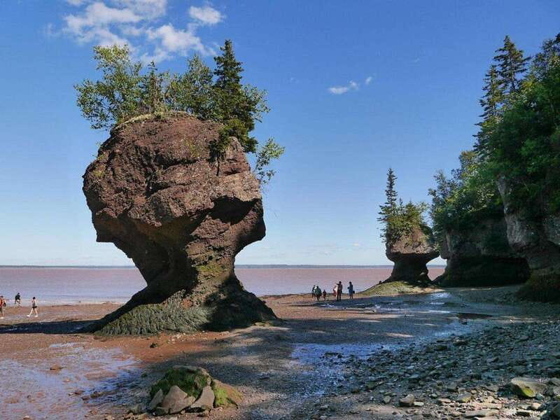 Hopewell Cape: Hopewell Rocks Admission - Before you walk: your ticket exchange and quick orientation