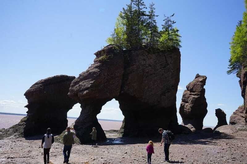 Hopewell Cape: Hopewell Rocks Admission - Trails from the Interpretive Centre: easy walking with big payoff