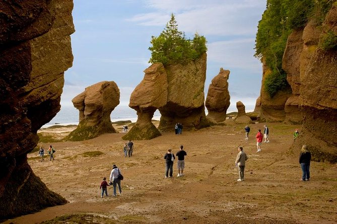 Hopewell Rocks Admission - Key Highlights to Know Before You Go