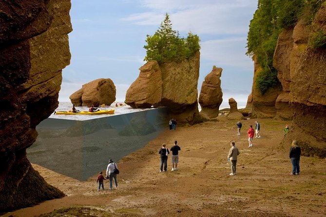 Hopewell Rocks Admission - Why Hopewell Rocks Feels Different at Every Tide