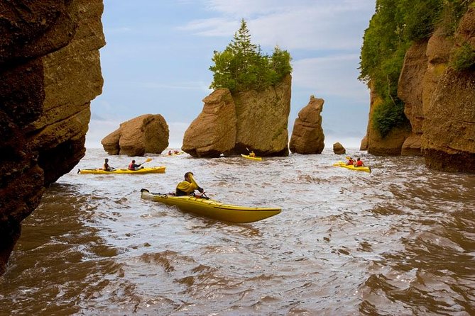 Hopewell Rocks Admission - What You’ll Get at the Interpretive Area and Included Walking Tour