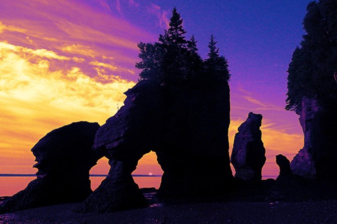Hopewell Rocks Admission - Trails, Lookouts, and the Best Way to Pace Yourself