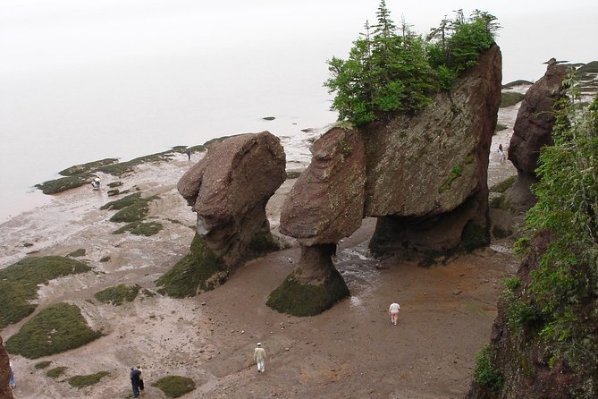 Hopewell Rocks Admission - Using Your Two-Day Admission to Plan High and Low Tide