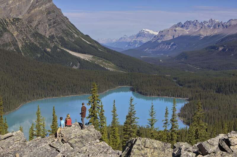 Icefield: Icefield Parkway, Bow Lakes & Peyto Lakes Day Tour - Bow Lake: glacier blue plus that Crowfoot reflection effect