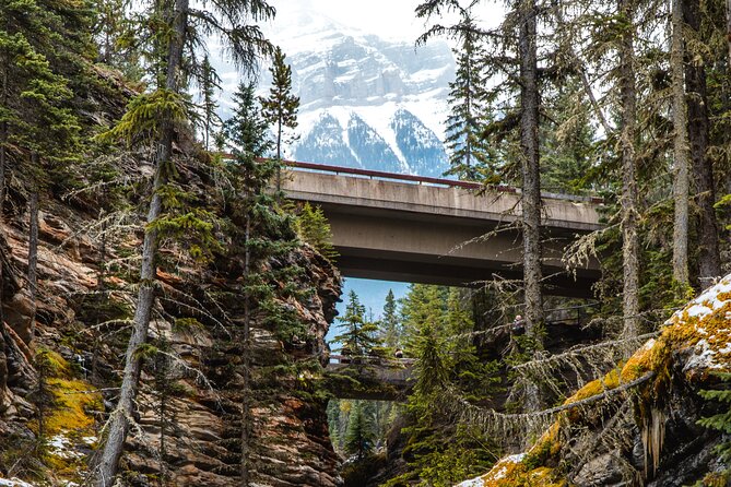 Icefields Parkway: a Smartphone Audio Driving Tour - Should You Book the Icefields Parkway Audio Tour?