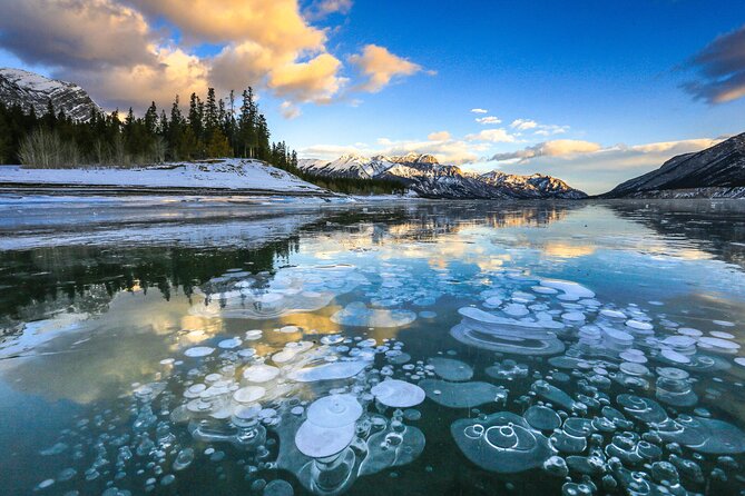 Icefields Parkway and Ice Bubbles of Abraham Lake Adventure - Stop 3: Bow Lake quick hit at high altitude (1,920 m)