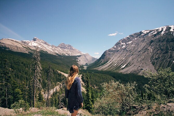 Icefields Parkway Highlights & Secrets | Award-Winning Adventure - Your ride: panoramic windows, cooler, and a day that actually feels comfortable