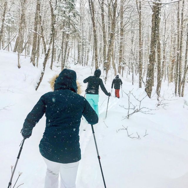 Jacques-Cartier National Park: Skiing Excursion - Key Points Before You Go