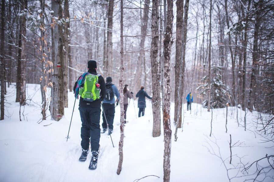 Jacques-Cartier National Park: Skiing Excursion - About 3 Hours of Guided Ski-Shoeing, With Real Photo Breaks