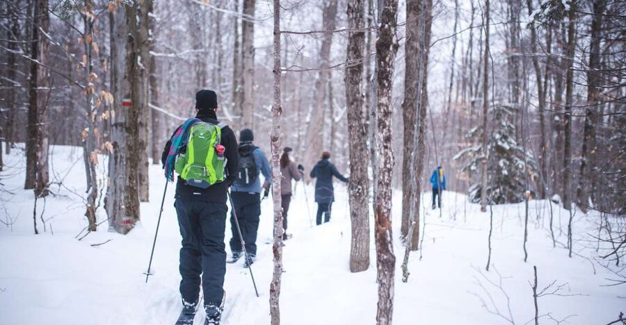 Jacques-Cartier National Park: Skiing Excursion - Winter Forest Stories, and Why Guides Make This Worth It