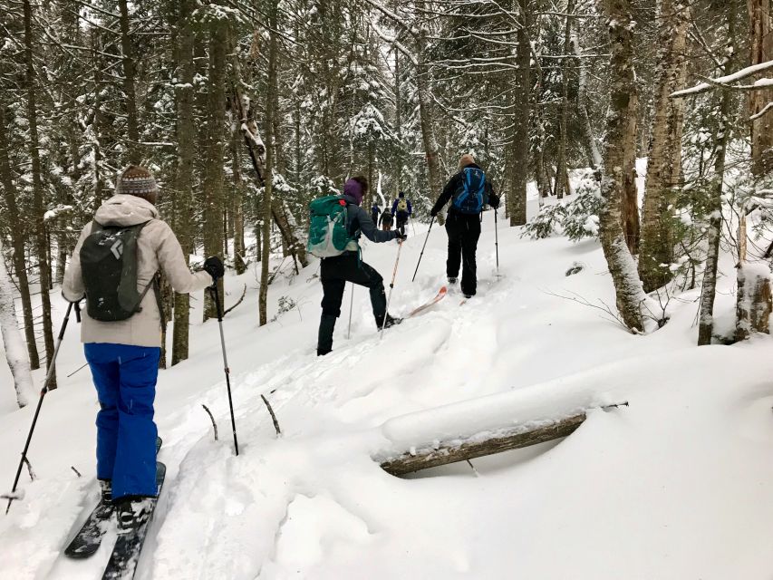 Jacques-Cartier National Park: Skiing Excursion - Ski-Shoe Value at $108 Per Person: What You’re Really Paying For