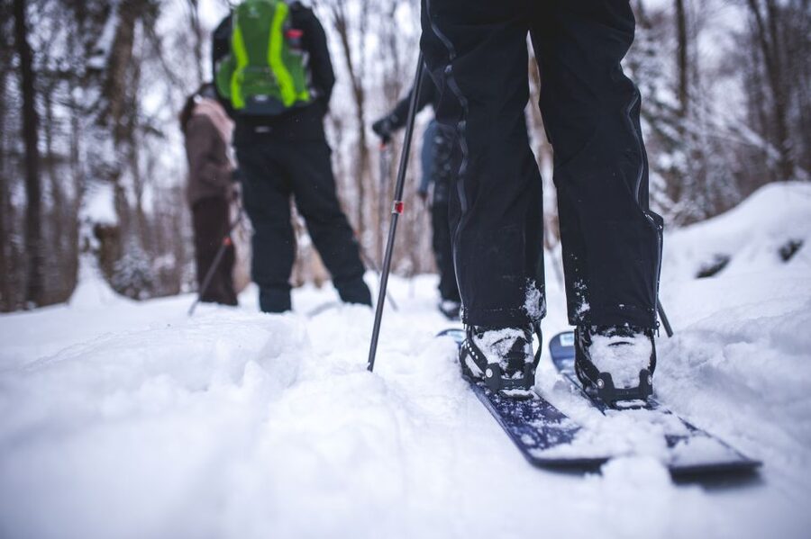 Jacques-Cartier National Park: Skiing Excursion - Should You Book This Ski-Shoe Day in Jacques-Cartier?