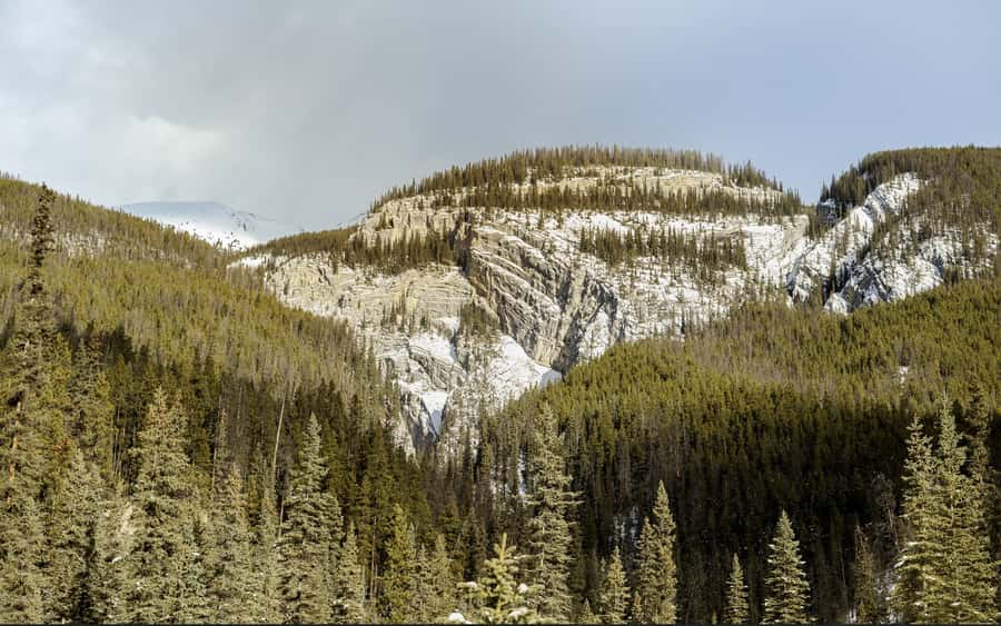Jasper: Maligne Valley And Pleckatis Canyon Tour - Pickup with SunDog, then winter gear takes over