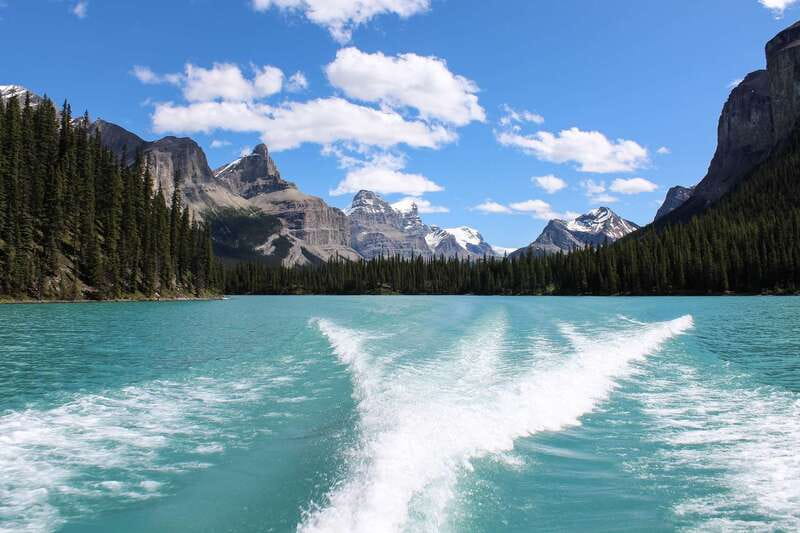 Jasper: Maligne Valley Wildlife & Spirit Island Cruise - Maligne Lake Road stops: where wildlife meets big views