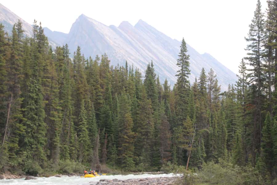Jasper National Park: Sunwapta River White Water Rafting - Sunwapta Grade 3 rafting key highlights