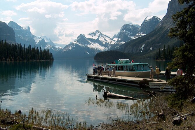 Jasper National Park Tour: Maligne Valley, Medicine Lake and Spirit Island - Wildlife spotting: what you can hope for and how to act