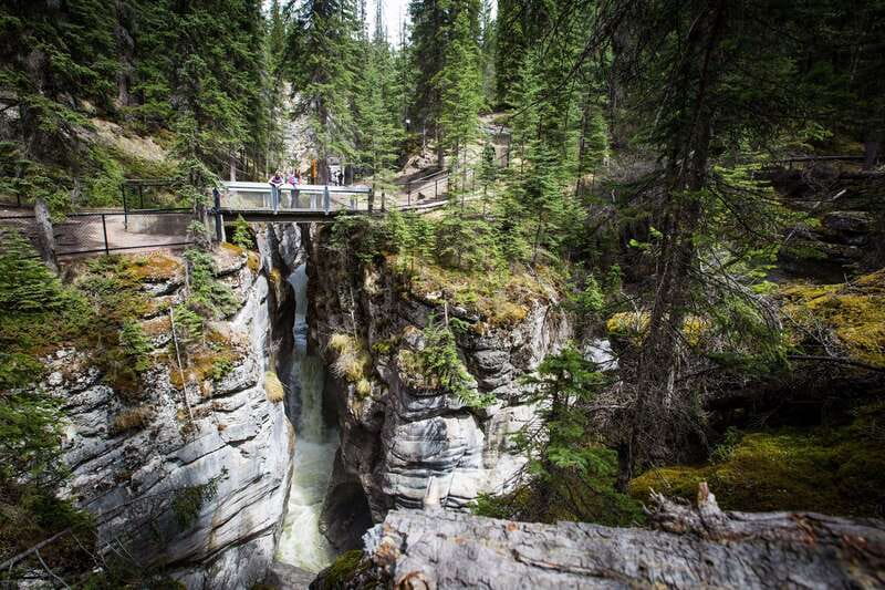 Jasper: Sightseeing Tour with Maligne Lake Cruise - A tight 8.5-hour Jasper day that actually hits the classics