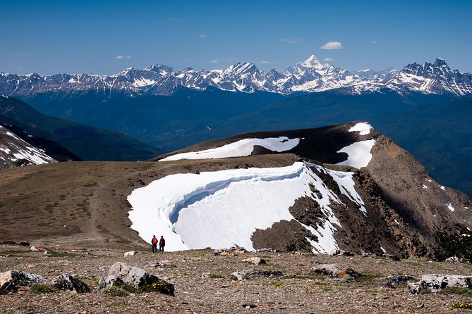 Jasper SkyTram - Whistlers Mountain up top: boardwalks, the Summit Trail, and wildlife