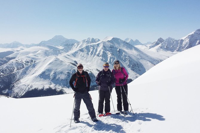 Jasper SkyTram - The 7-minute ride: what you actually get for your money