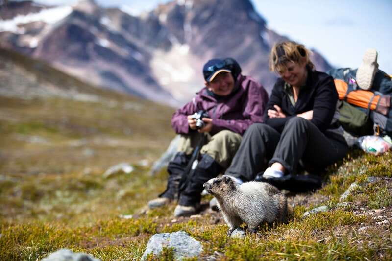 Jasper: Transfer to Banff/Lake Louise w/ Columbia Icefields - Columbia Icefield and the Athabasca Glacier experience