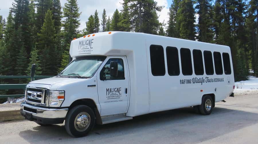Jasper: Wildlife and Sightseeing Tour with Lakeshore Hike - Why Maligne Valley feels like the best kind of Jasper day trip