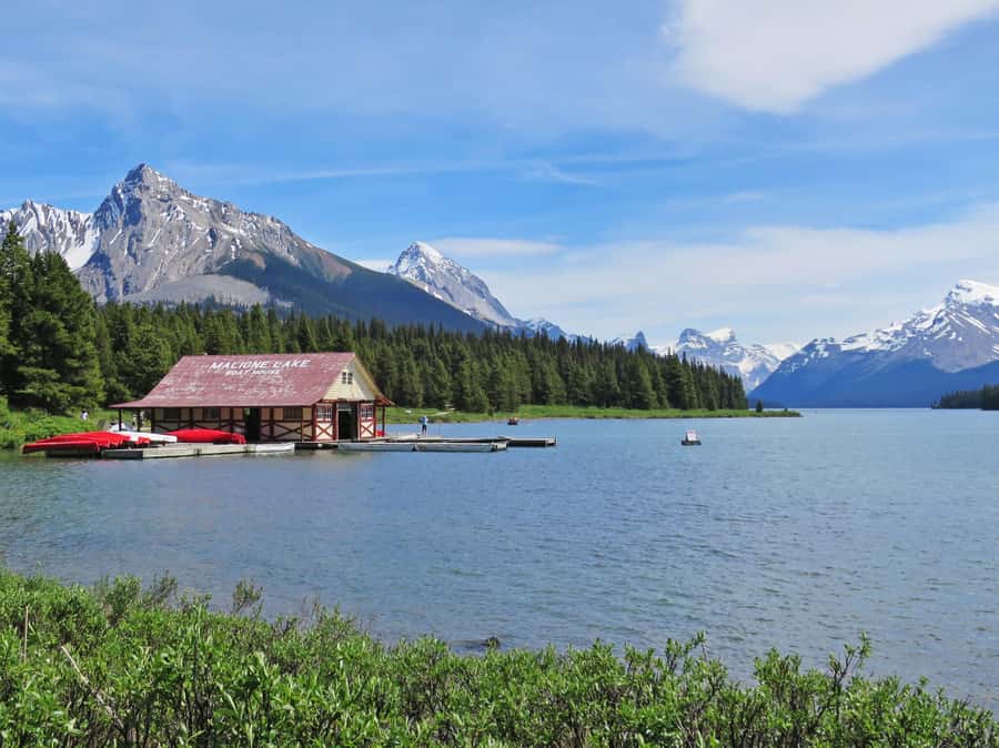 Jasper: Wildlife and Sightseeing Tour with Lakeshore Hike - Maligne Canyon Waterfalls closure and the 2025 wildfire viewpoint stop