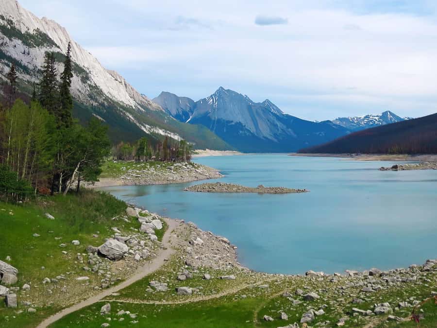 Jasper: Wildlife and Sightseeing Tour with Lakeshore Hike - Maligne Lake Day Lodge: the small pause that keeps the day enjoyable