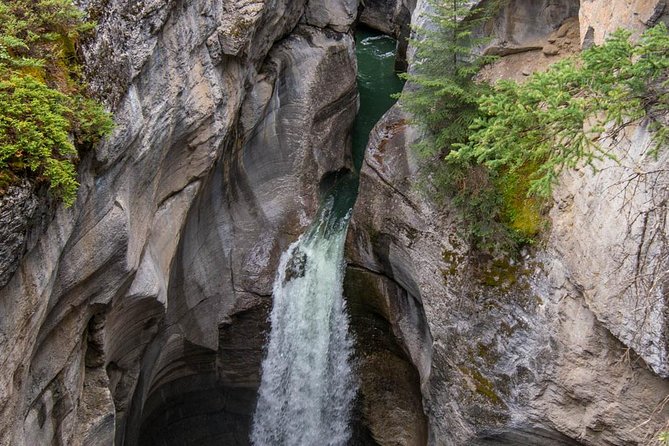 Jasper Wildlife & Sightseeing Tour with Maligne Lake Cruise - Jasper pickup, meeting point, and how to avoid wasting time