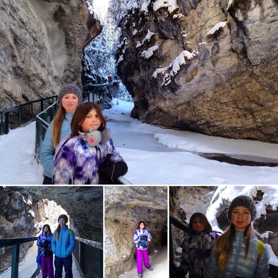 Johnston Canyon: Banff National Park - Black Swift spotting and the guide talk: wildlife, geology, and canyon ecology in plain language