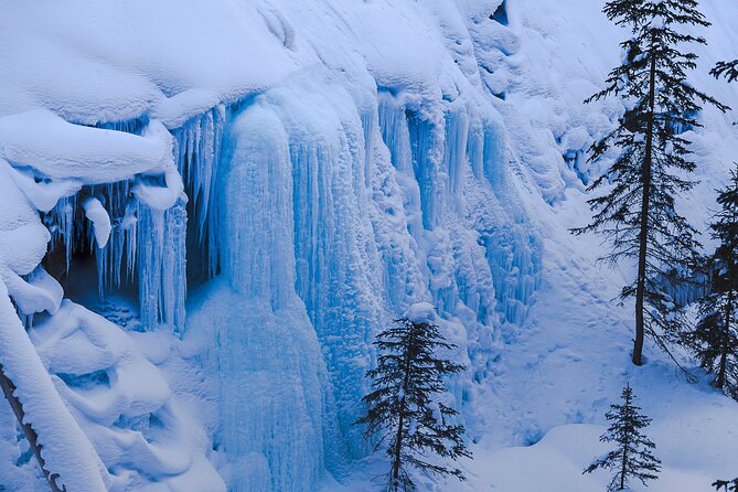Johnston Canyon Frozen Waterfalls - Small Group Tour - Price and value at about $85.94: what you get for the money