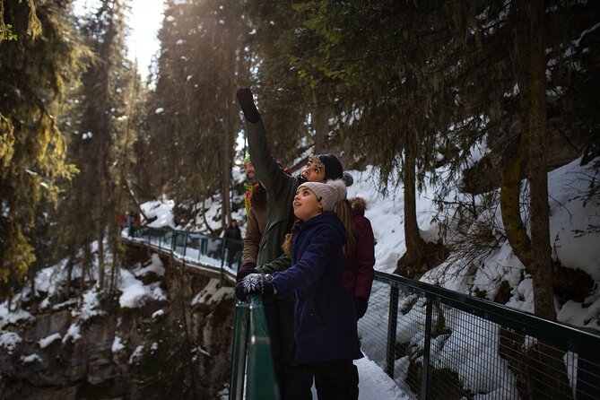Johnston Canyon Frozen Waterfalls - Small Group Tour - Should you book Johnston Canyon Frozen Waterfalls with this small-group setup?