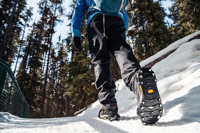 Johnston Canyon Icewalk - The warm finish: hot chocolate, cookies, and how it changes the mood