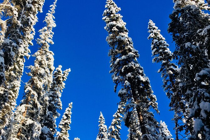 Johnston Canyon Icewalk from Banff AM - Tips That Help You Have A Smoother Morning