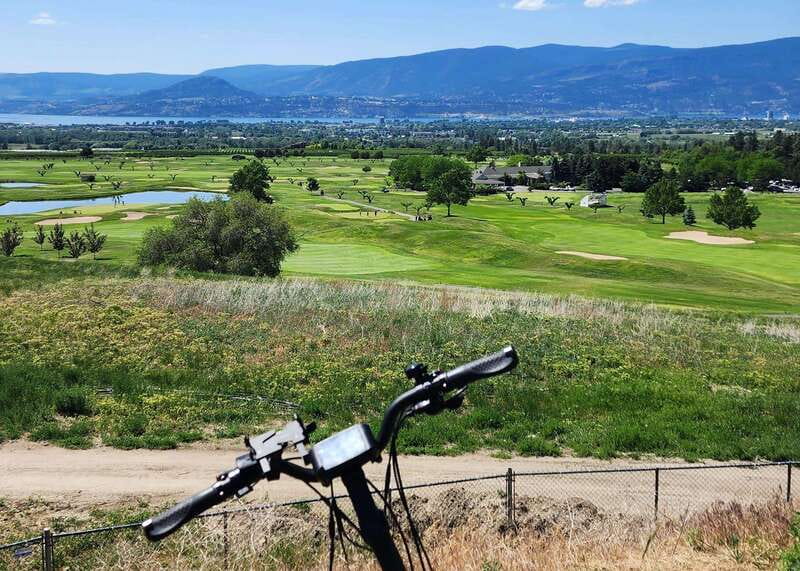 Kelowna: E-Bike Bee Tour w/ Tastings, Lunch, and Audioguide - Meadow Vista hive audio tour: learning bees in 20 minutes