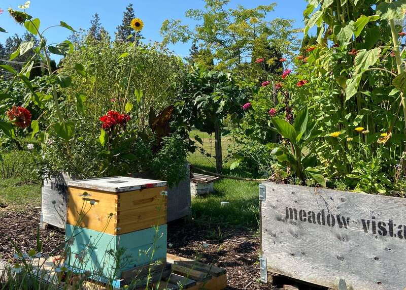 Kelowna: E-Bike Bee Tour w/ Tastings, Lunch, and Audioguide - Lunch at Meadow Vista Bistro: farm-to-table, countryside view