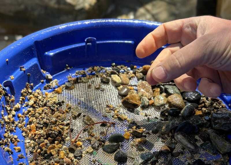 Kelowna E-Bike Gold Panning Expedition - Photo moments and the small-trail feeling you can’t fake