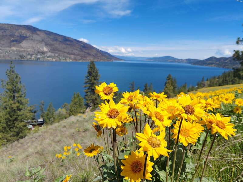 Kelowna: E-Bike Rental with In-App Navigation Guide - Who Should Book This E-Bike Rental, and Who Should Skip It