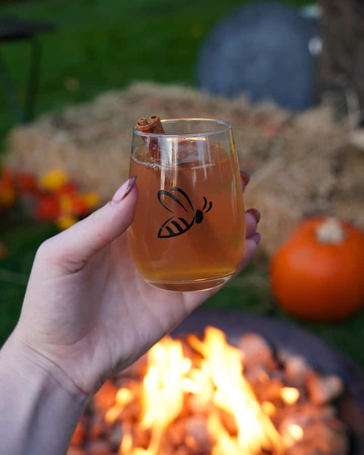 Kelowna Fireside Warm-Up: Wine Tasting, Smores & Mulled Wine - Value Check: Is $18 for One Hour Worth It?