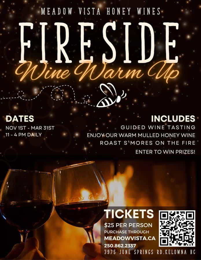 Kelowna Fireside Warm-Up: Wine Tasting, Smores & Mulled Wine - Guided Honey Wine Tasting That Stays Practical