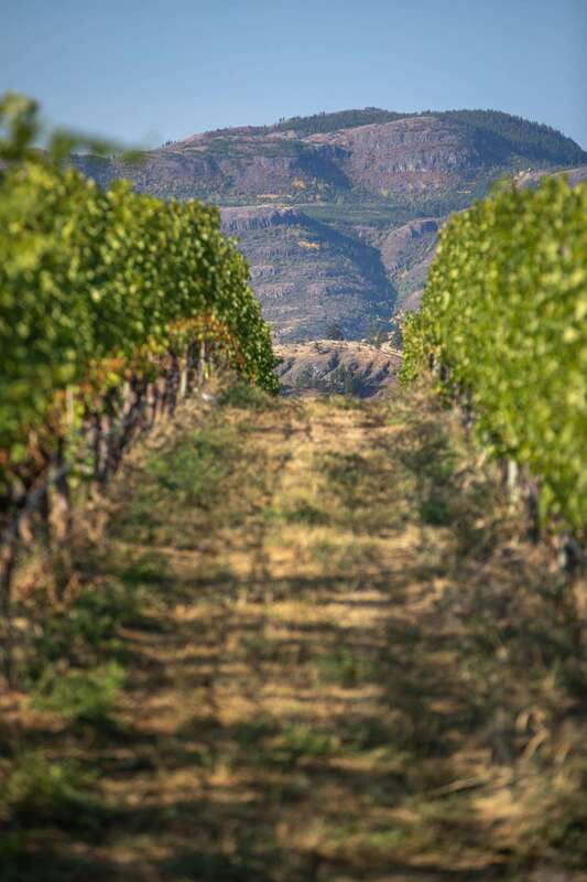 Kelowna: Lake Country Full Day Guided Wine Tour - Intrigue Wines: the tasting-room stop that keeps variety high