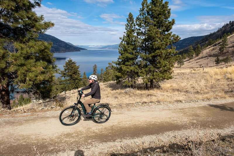Kelowna: Okanagan Lake Guided E-Bike Tour with Picnic - E-bike tech that makes hills manageable