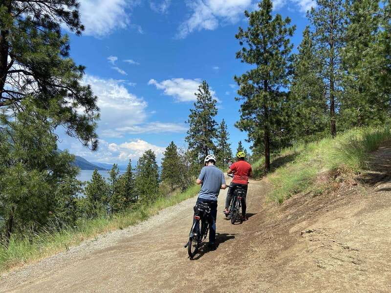 Kelowna: Okanagan Lake Guided E-Bike Tour with Picnic - Paul’s Tomb picnic: a bento lunch made for a break