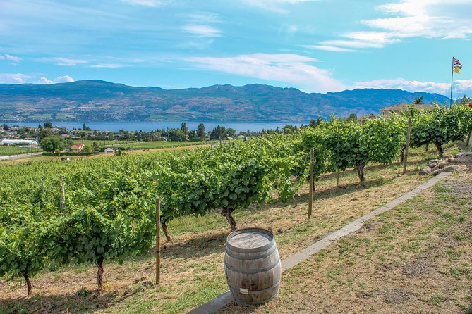 Kelowna or West Kelowna Afternoon Sightseeing Wine Tour - Frind Estate: modern tasting room, beach setting, real picnic energy