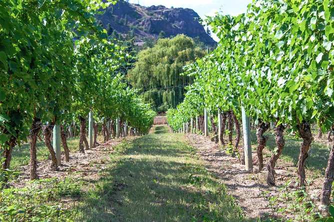 Kelowna or West Kelowna Afternoon Sightseeing Wine Tour - Indigenous World Winery: wines plus art, spirits, and First Nations context